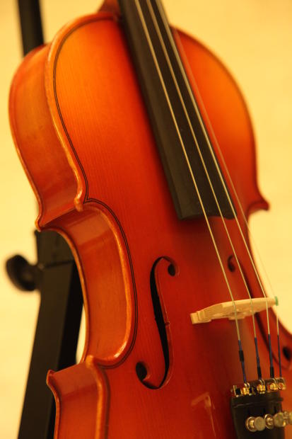 nagoya suzuki violin